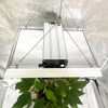 Hohe Intensität Indoor-LED wächst Licht für Tomaten