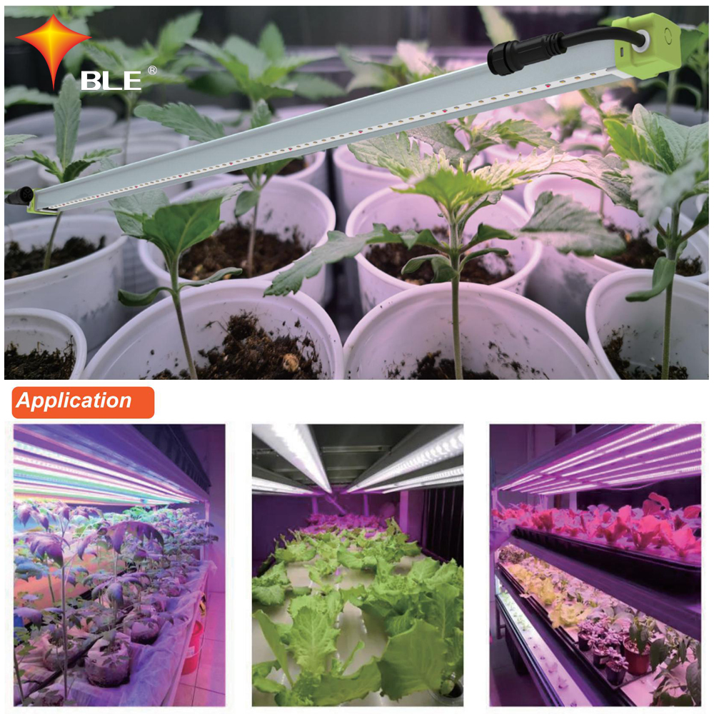 Leistungsstarkes 75-W-Linear-LED-Wachstumslicht für Topfpflanzen