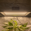 Hydroponic 400 Watt LED Wachsen Sie Licht für Topfpflanzen