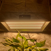 Professionelle 400 Watt LED wächst Licht für Chilis