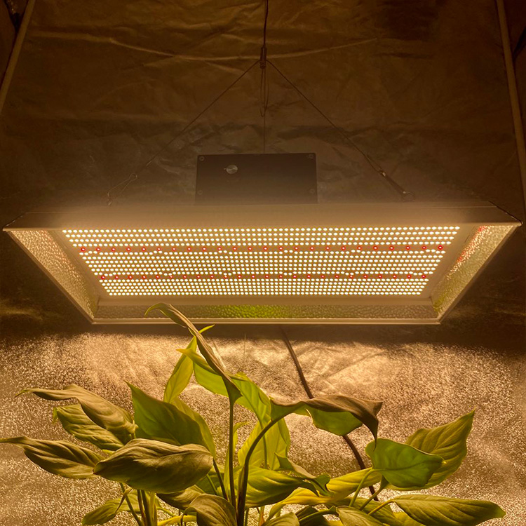 Garten 400 Watt LED wachsen Licht für Topfpflanzen