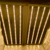 800W Vollspektrum kommerzielle LED wachsen Licht