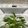 Niedrigenergie-Gartenbau-LED-Wachstumslicht für Tomaten