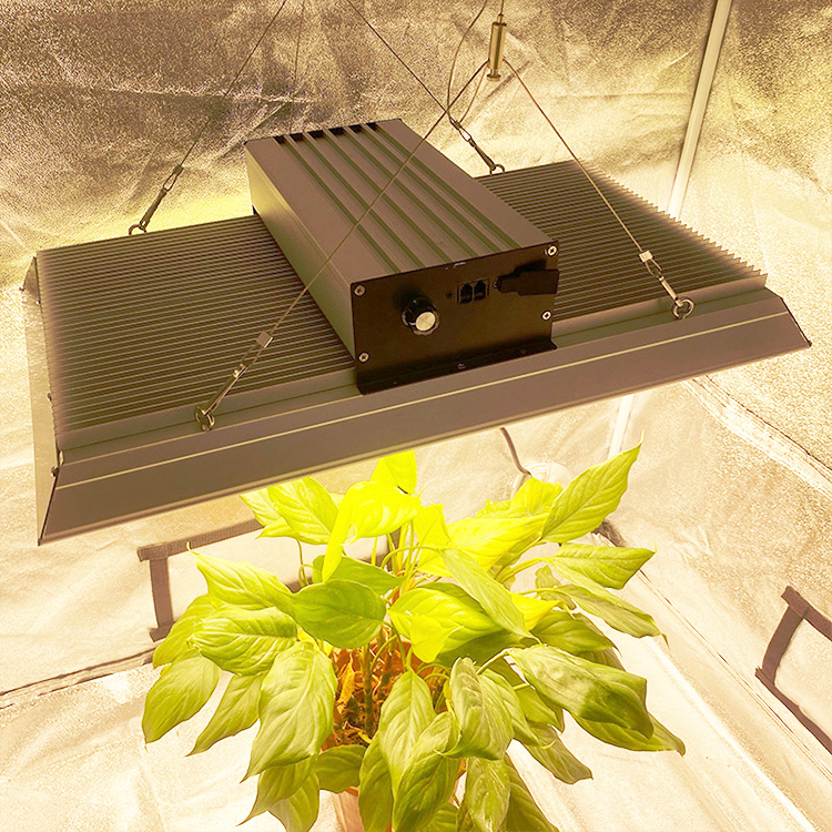 Gartenbau 400 Watt LED wachsen Licht für Topfpflanzen