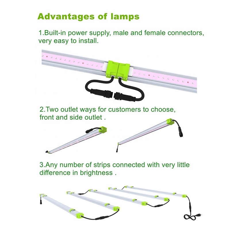 Hochleistungs-60-Watt-Linear-LED-Wachstumslicht für Orchideen