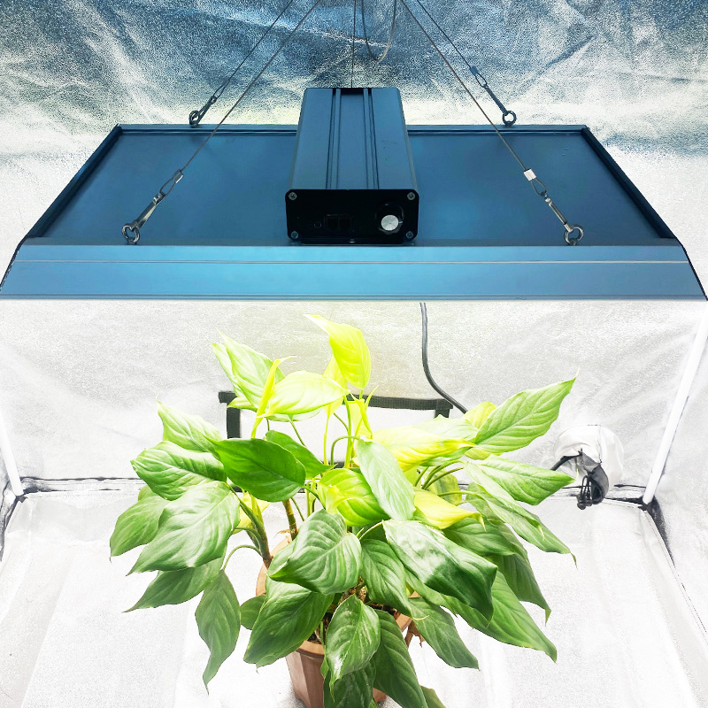 Gartenbau 200w LED Grow Light für Chilis