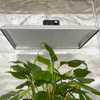 Hydroponisches 200w LED-Wachstumslicht für tropische Pflanzen